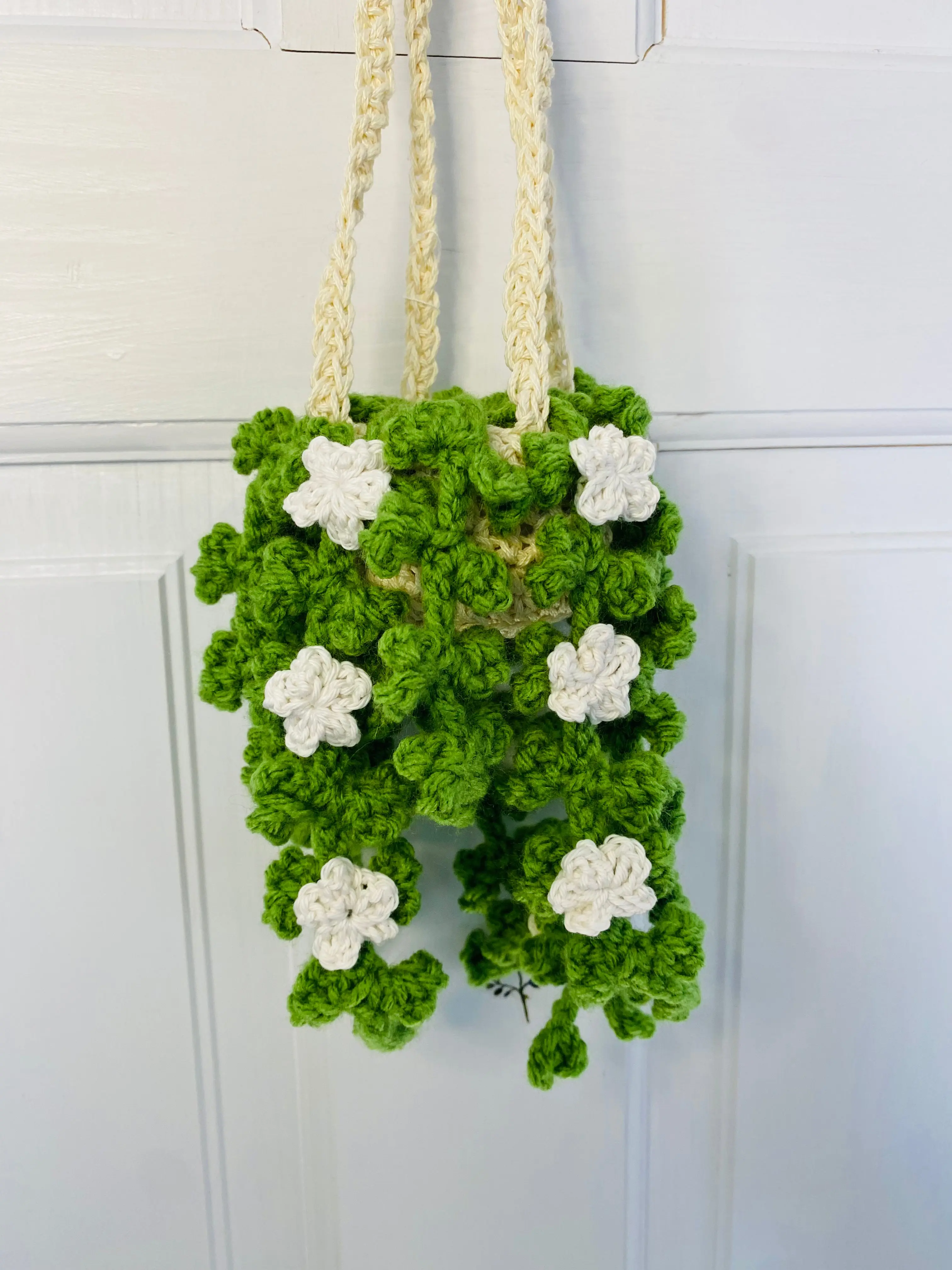 Ivy with Flowers Hanging Plant