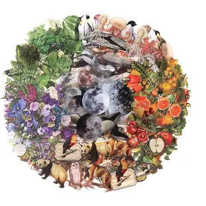 240pcs Nature Themed Decorative Transparent Stickers Vintage Flora Fauna Decals for Scrapbooking Journaling Photo Albums 2 7cm Premium PET Material Waterproof Durable Repositionable Adhesive DIY