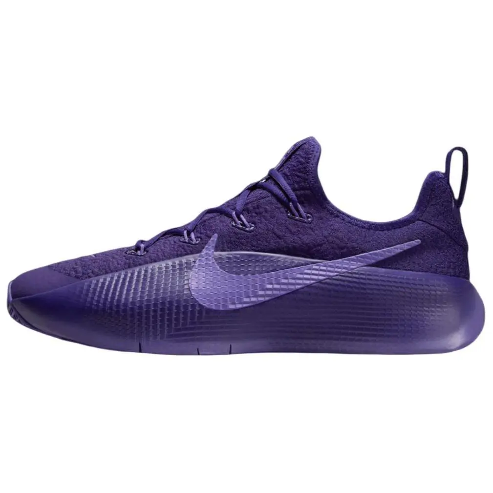 Nike LeBron TR1 Purple Rain Durable Non-slip Low Top Basketball Shoes Unisex FJ6151-500