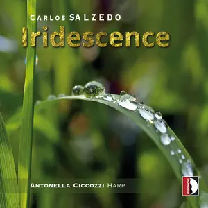Antonella Ciccozzi - Iridescence  [COMPACT DISC - CD]