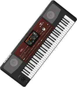 Korg PA700 61-Key Arranger Workstation with Built-in Speakers and Display