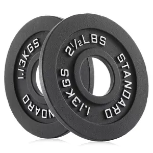 Philosophy Gym Set of 2 Cast Iron Olympic 2-Inch Weight Plates