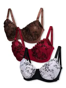 Women's Lace Push-Up Bra Set, Breathable Comfort, Medium Support, Fitted Design, Plain Pattern, All Seasons Wear, 3-Pack, Everyday