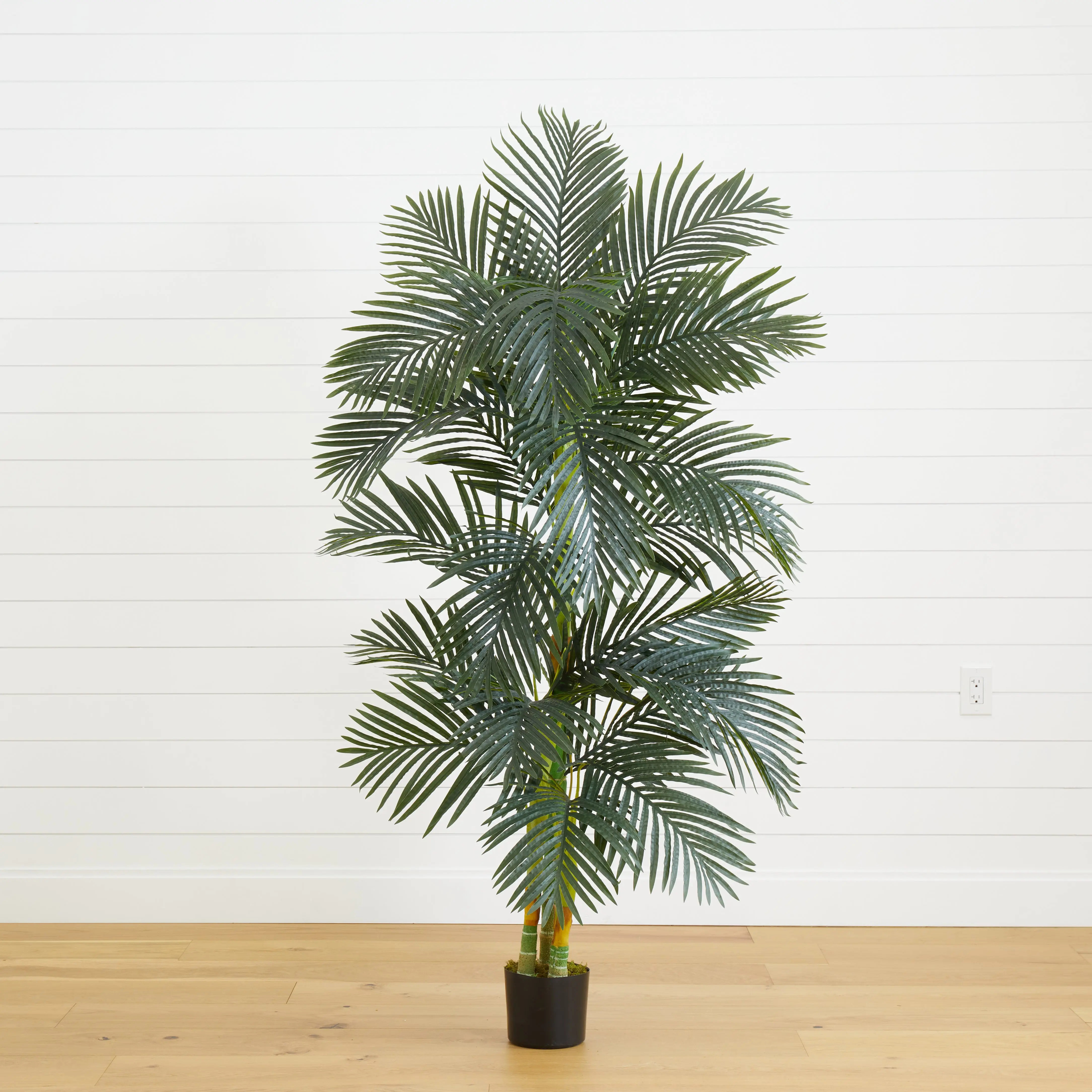 6.5' Silk Golden Cane Artificial Palm Tree, Aesthetic Home Decor Piece for Living Room, Entryway & Room Use, Faux Tropical Indoor Plant 6.5' Silk Golden Cane Artificial Palm Tree, Aesthetic Home Decor Piece for Living Room, Entryway & Room Use, Faux Tropical Indoor Plant