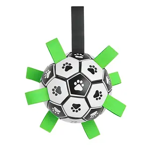 Dog Toy Ball Chew-Resistant Dog Football Outdoor Special Tour Training Ball Pet Toy Wholesale