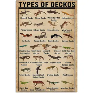 Starotore Types of Geckos Metal Tin Signs Retro Gecko Knowledge Posters 16x24 Inches for Children Room Classroom Home Wall Decor Artistic Cotton Canvas Print