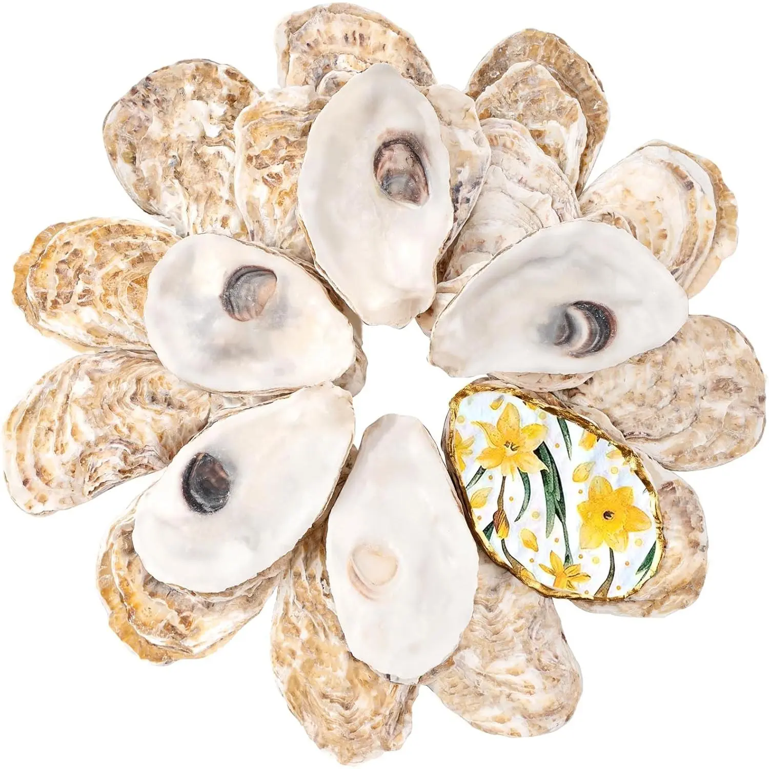 30Pcs Natural Smooth Cleaned Flat Oyster Shells (3-4in, Smooth Surface) - Decorative Natural Shell Ornaments for Wedding DIY, Coastal Home Decor, Painting, Candle Holders, Place Cards