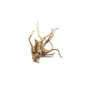 Spiderwood