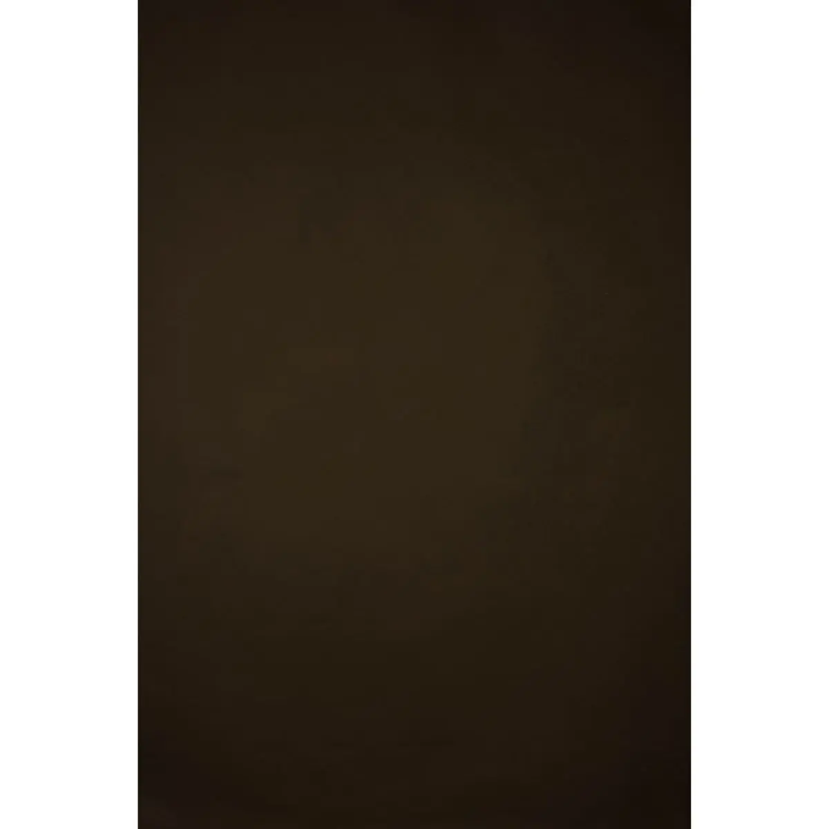 Camera Backdrop, Gravity Backdrops Italian Cotton Hand-Painted Classic Collection Low-Texture Canvas, 8.9x13 ft, Brown