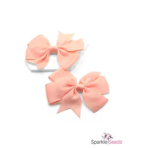 Little Lovely - Peach Hair Clips