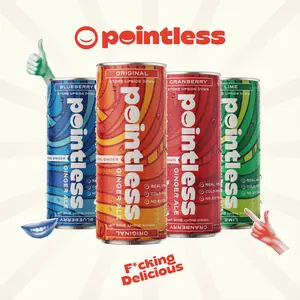 Pointless Ginger Ale Sampler - Non-Alcoholic Soft Drink for Grown Ups, Low-Sugar with Real Ginger - Beverage Sampler Pack - 4 Flavors (12 Cans)