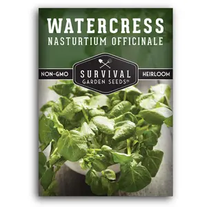 Watercress Seeds for Planting - High Germination Rate