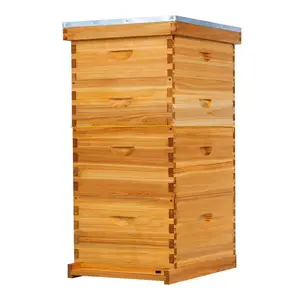 MayBee Hives 10/8 Frame Langstroth Beehive–100% Beeswax Coated with Pine Wooden Frames and Waxed Plastic Foundations, Includes 2 Deep Bee Boxes and 2 Honey Super Boxes(NO LOGO)Complete Beekeeping Starter Kit