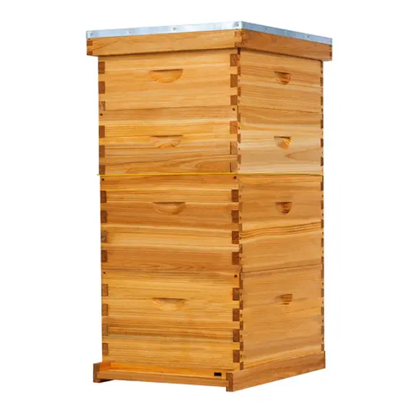 MayBee Hives 10/8 Frame Langstroth Beehive Complete Starter Kit for Home Garden Outdoor Beekeepers - Natural Wood, 100% Beeswax-Coated Pine Frames, Waxed Plastic Foundations, 2 Deep Bee Boxes, 2 Honey Super Boxes (NO LOGO)
