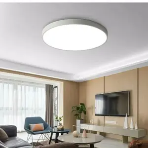 White LED Ceiling Light, 1P Round Ceiling Mount, Wired Model, 23/40cm Ideal For Hallways, Corridors, Entryways, Living Rooms, Bedrooms, Home Indoors Lighting Fixture
