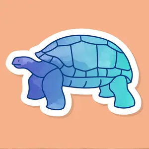 Oval Car Decal Wholesale Gopher Tortoise Sticker