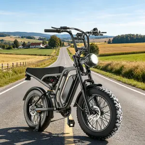 【Hieha】 Electric Bike for Adults, 1500W Peak Motor, 20" Fat Tire High-Speed All-Terrain Electric Commuter Bike with 48V Removable E-Bike Battery, 7-Speed System, Dual Suspension & Smart LCD Display