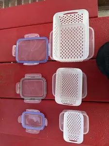 Bugs storage container with strainer