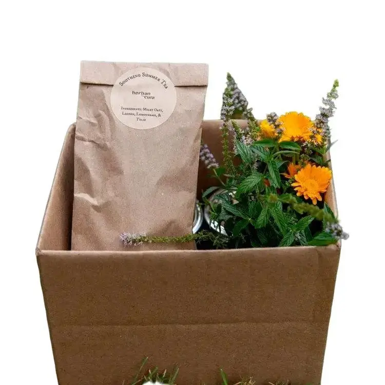 2025 Single Box: Herbal CSA (Community Supported Apothecary) lovingly wildcrafted medicines with a journal