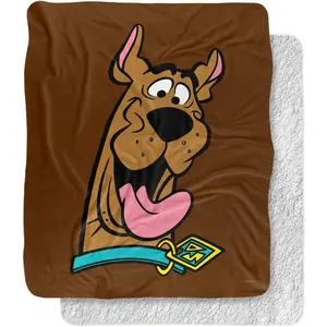 Scooby-Doo Blanket,Scooby Happy Silky Touch Sherpa Back Super Soft Throw BlanketThanksgiving Children's Day holiday gifts for family members