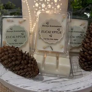 EUCALYPTUS Soy SNAP BARS - 3 oz Highly Scented Vegan Pet Friendly