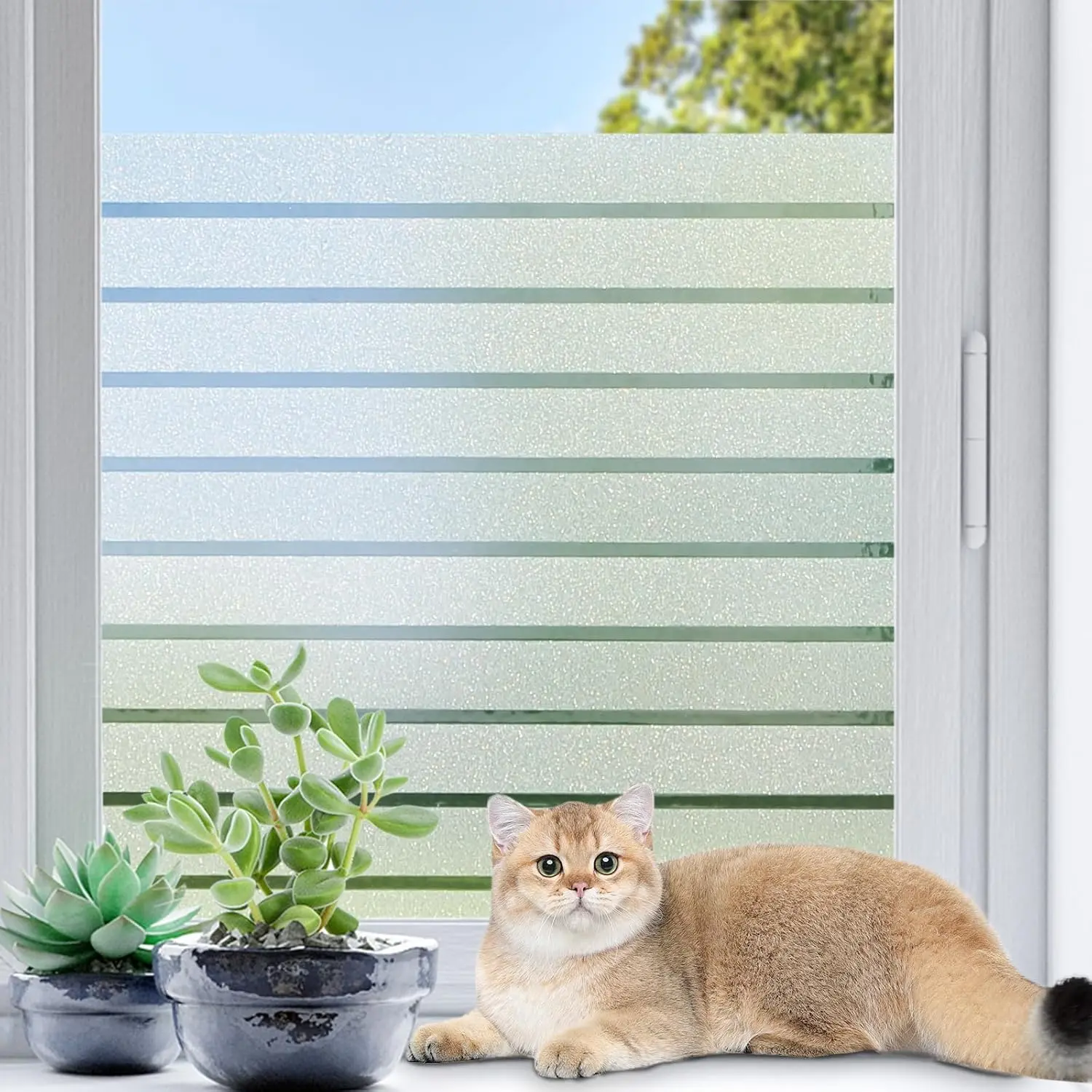 Window  Film Frosted Glass Window Film Heat Blocking Window Cling Decorative Frosting Film Static Cling Vinyl Door Coverings Home Tint Blinds, 23.6 x 78.7 inch, Pure