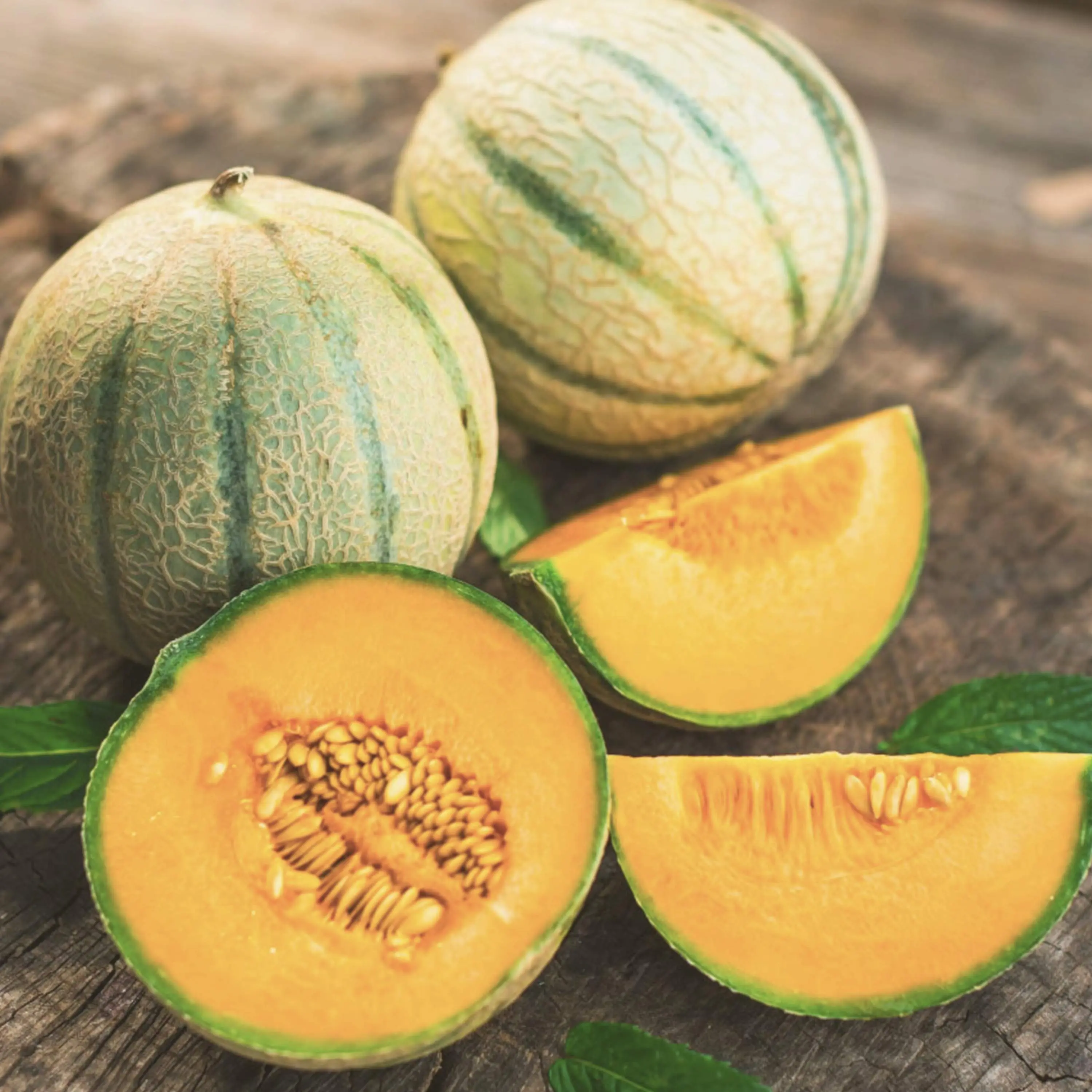 Heirloom Hearts of Gold Melon Seeds - Organic and Regenerative Gardening Seeds