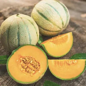 Heirloom Hearts of Gold Melon Seeds - Organic and Regenerative Gardening Seeds