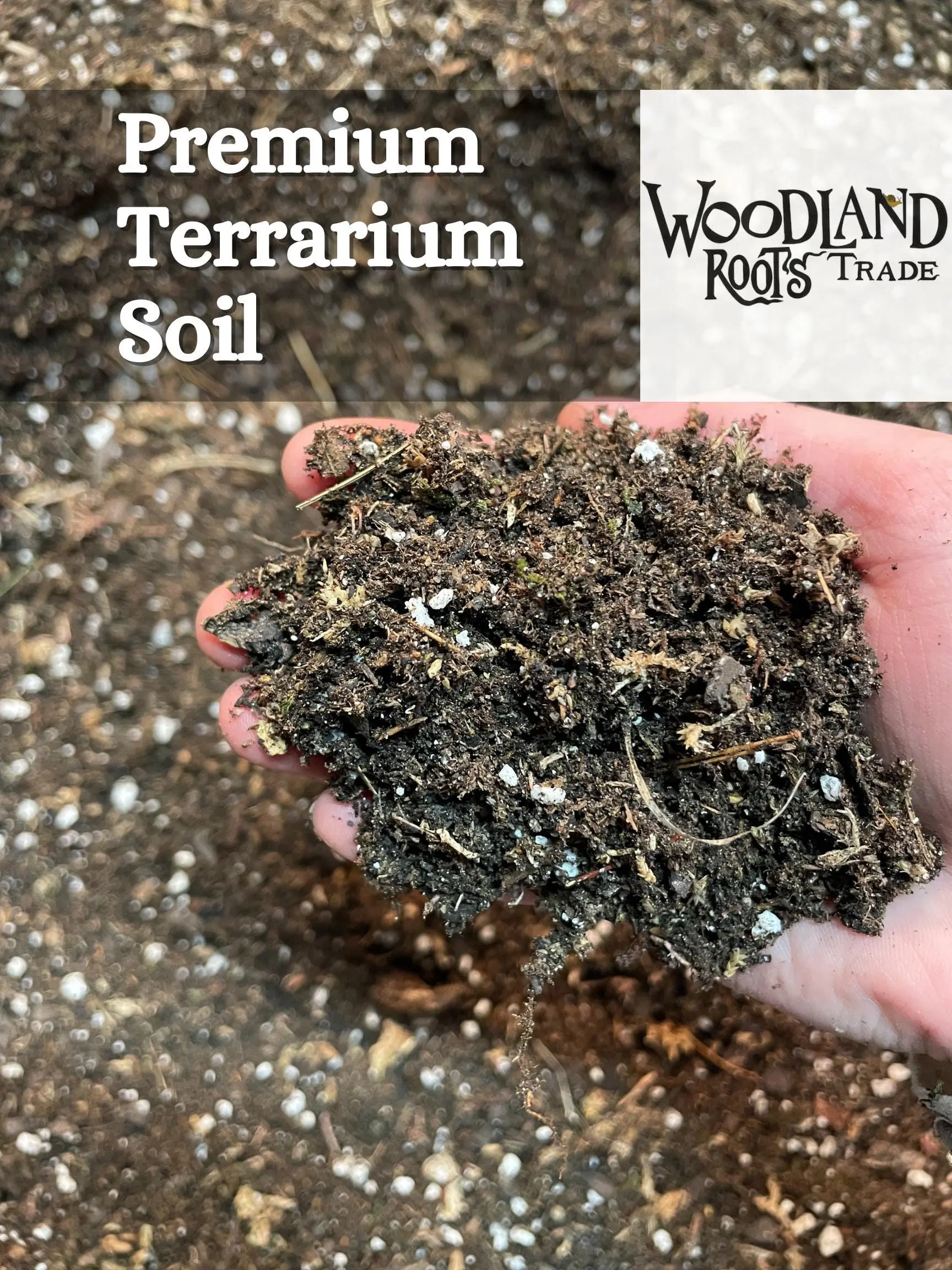 Terrarium Substrate Premium Terrarium Soil Blend Soil for Moss