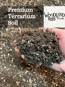 Terrarium Substrate Premium Terrarium Soil Blend Soil for Moss