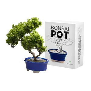 Glazed Ceramic Bonsai Pot - Decorative Planter for Dwarf Trees, Succulents, Small Plants - Blue Oval Container Perfect for Indoor and Outdoor Gardens, Table Centerpieces and Windowsill Décor