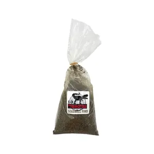 Seashell Find (3 lb.) - Includes 4+ Ounces of Seashells to Discover