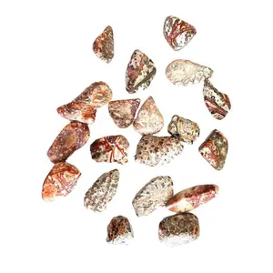 Leopard Skin Jasper Tumbled Stone