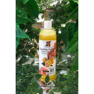 Gentle Castile Hair Wash
