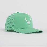 Cool Green (Buck Logo)
