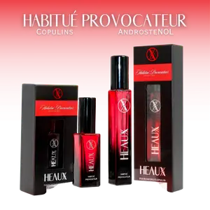 Habitué Provocateur (Attracts Men)