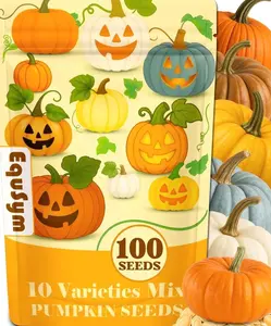 10 Variety Mix Pumpkin Seeds for Planting - 100 Heirloom Seeds, Baby Boo, Blue Jarrahdale, Jack Be Little, Jack O Lantern, Sugar Pie, Yellow Paris for Summer & Fall, Non GMO Pumpkin Seed