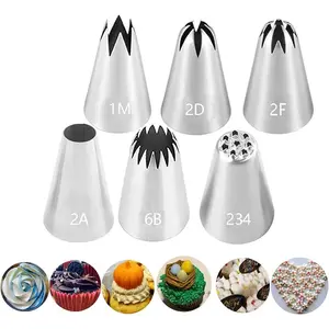 Large Icing Piping Tips Set for Cake Decorating,6 Decorating Tips Stainless Steel Pastry Tips,Flower Frosting Tips Nozzles,#1M 2A 2D 2F 6B 234