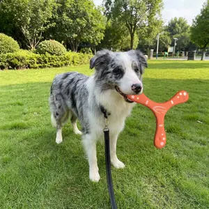 Eva Pet, Soft Durable Dog Toy, Waterproof Floats, Easy Clean, Bite-Resistant, Interactive Outdoor Play, Suitable for All Ages