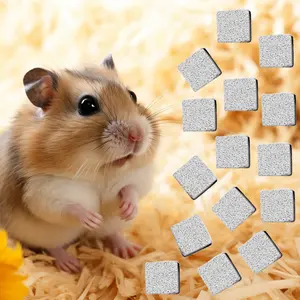 15 Pcs Rabbits Lava Blocks Bunny Teeth Grinding Stone Small Animal Mineral Calcium Stone Chews Toy for Hamsters, Chinchillas and Parrot