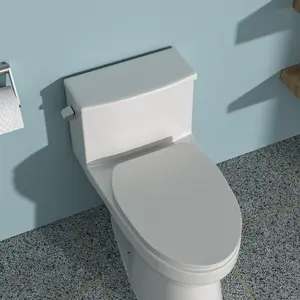 Ceramic One Piece Toilet,Single Flush with Soft Clsoing Seat On-Site