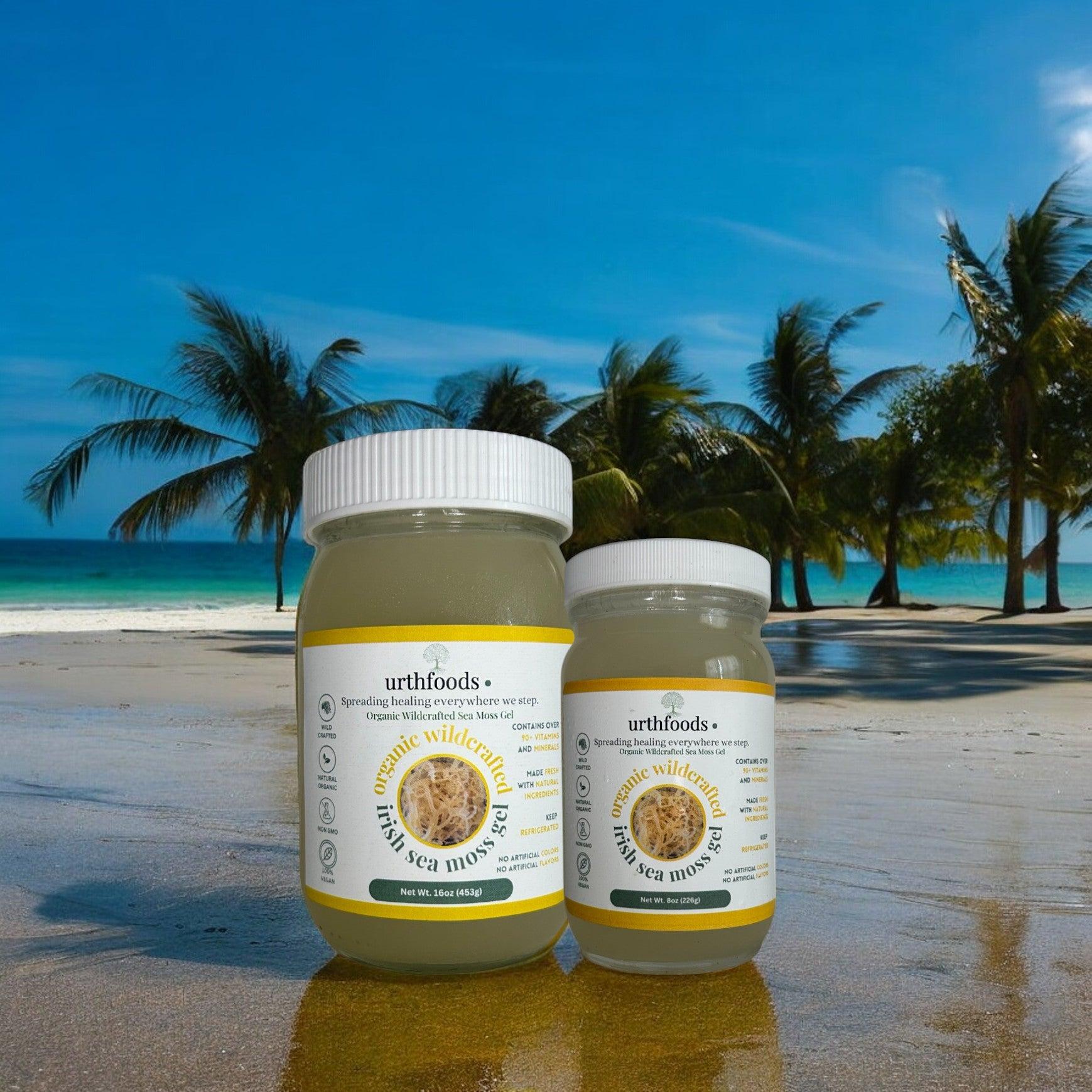 Urthfoods Sea Moss Gel Wildcrafted Organic