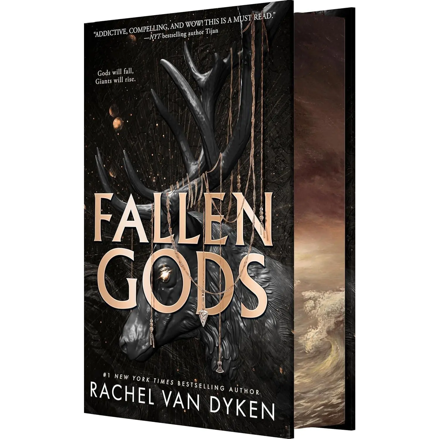 Fallen Gods: A Dark Academia Urban Romantasy Novel by Rachel Van Dyken (Deluxe Hardcover)