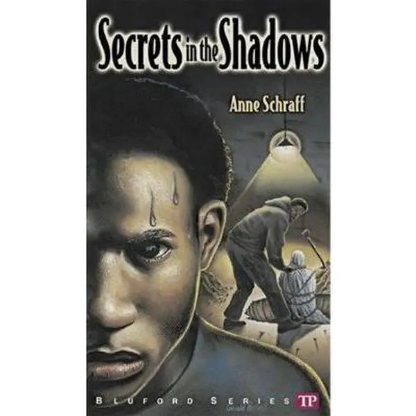 USED Book - Secrets in the Shadows (Bluford High Series #3) by Anne E. Schraff (Paperback) - english