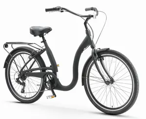 Simple Step-Thru bicycle Simple Step-Thru bicycle