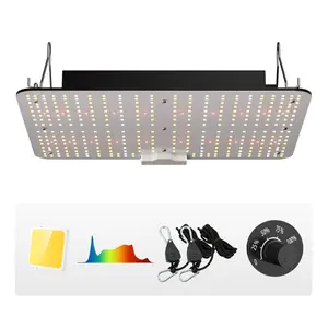 【Summervibes】VEVOR LED Grow Light 150/200/300/400W, 281B+PRO Chips for Indoor Plants Growing, Full Spectrum Dimmable, High Yield Growing Lamp, Daisy Chain Driver, 3x3 ft Grow Tent