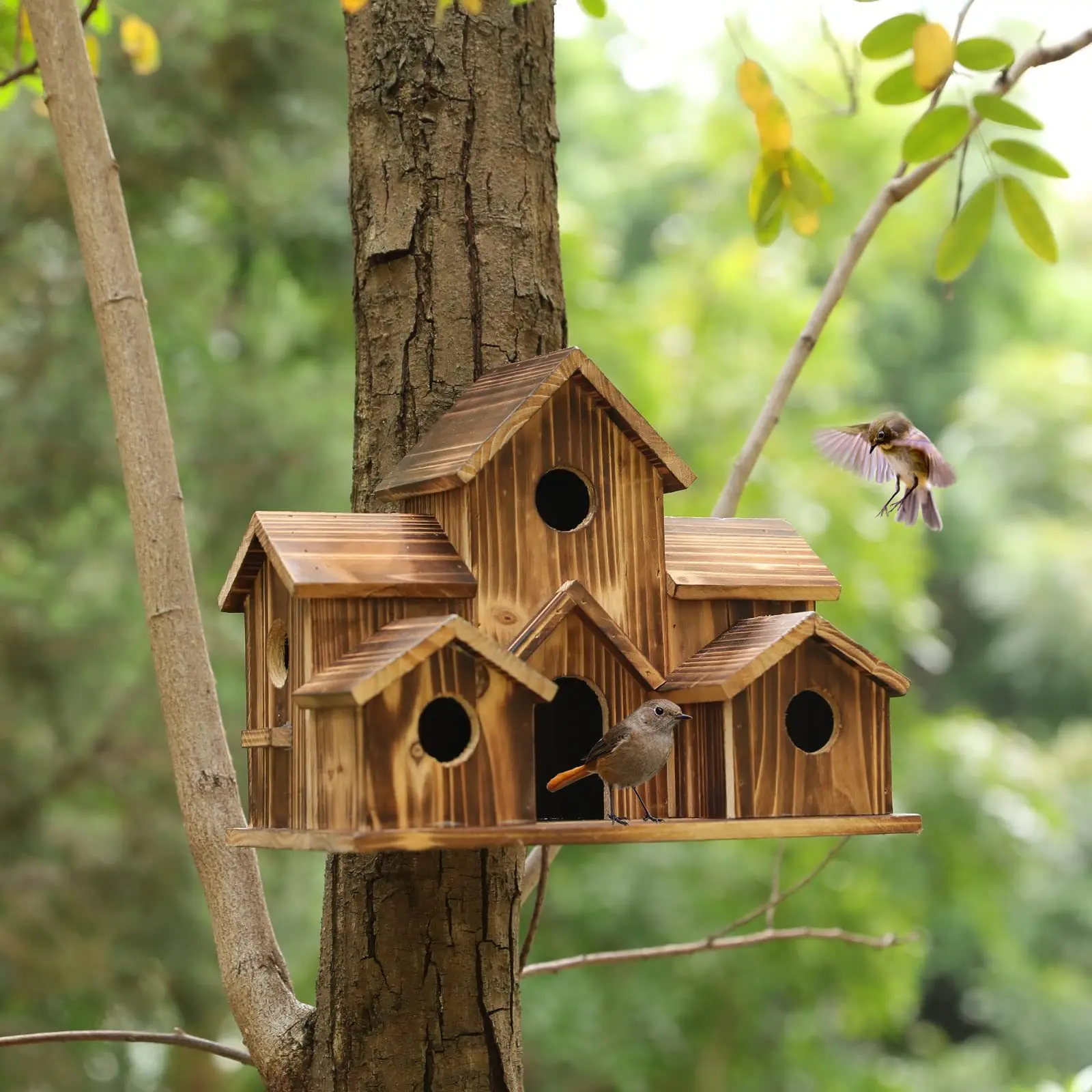 Wooden Squirrel Feeder, 1 Set Durable Box Easy To Fill with Removable Front Panel, Squirrel Feeders for Outside Winter, Outdoor Feeder, Chipmunk Feeder for Corn, Peanuts, Hanging Feeder