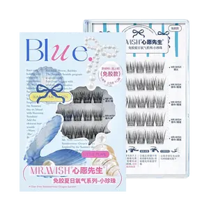 MR.WISH 30 Clusters Summer Oxygen Series Faux Mink Individual Lashes - Natural Wispy Look, DIY Cluster Lashes for Volume & Length