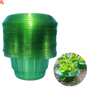 30-Pack Thickened Plant Protection Rings |   Transparent PET Barrier for Seedlings And Vegetables, Green Slug Snail Guard, Ideal for Outdoor Patios And Gardens
