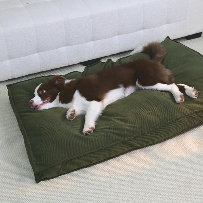 Dog Bed for Medium & Large Dogs Extra Large Removable Washable Cover All Season Comfort Cozy Pet Furniture Stylish Accessory Sturdy Construction